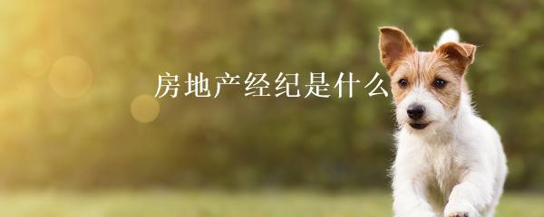民間貸款公司(民間借貸的公司)? (http://www.771378.com/) 知識問答 第22張