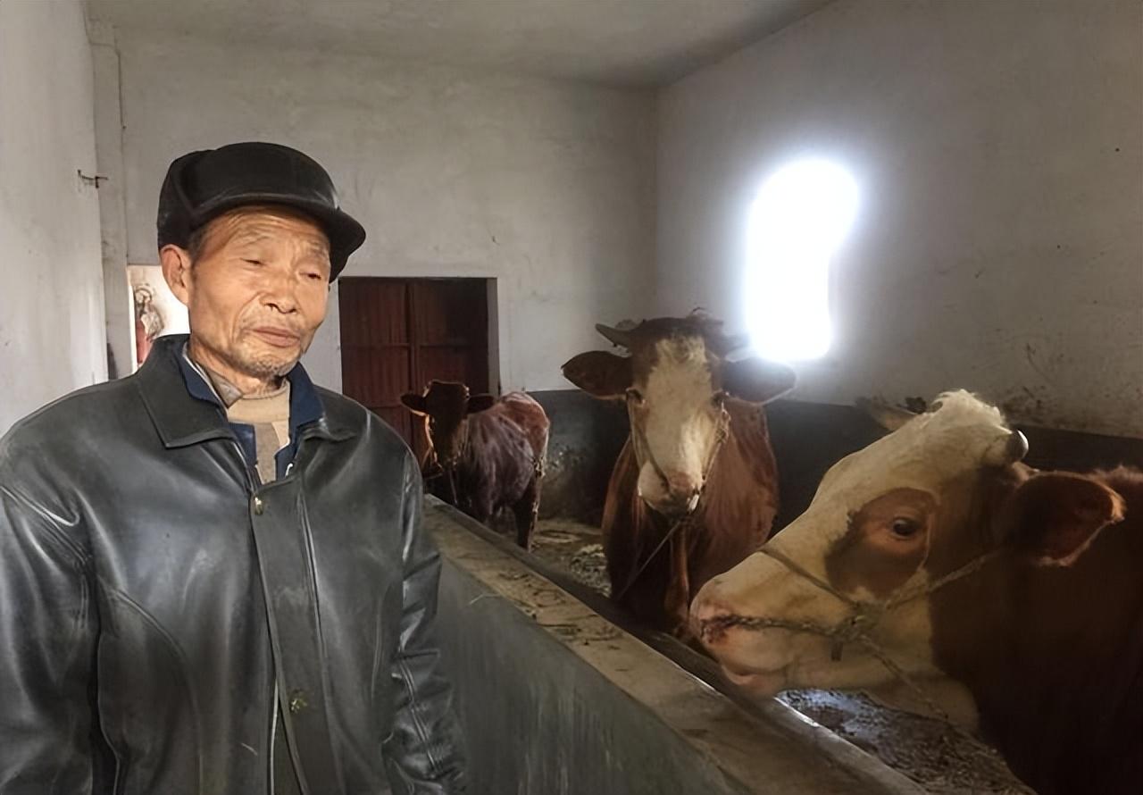 普通人怎么貸款5萬(如何貸款20萬普通人)? (http://www.771378.com/) 知識問答 第2張