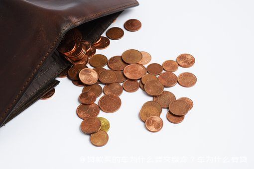 拿車的綠本怎么貸款(貸款車綠本拿到手了該怎么辦)? (http://www.771378.com/) 知識問答 第1張