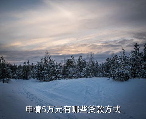 怎么能貸款5萬(能貸款的平臺有哪些)? (http://www.771378.com/) 知識問答 第1張