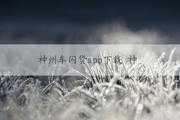 神州車閃貸app(神州閃貸抵押車安全嗎)? (http://www.771378.com/) 知識問答 第1張