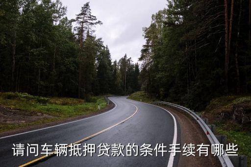 辦理車輛抵押貸款需要什么資料(抵押貸款車輛辦理資料需要什么)？ (http://www.771378.com/) 知識問答 第2張