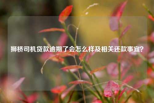 獅橋車抵貸(獅橋車抵貸利率是多少)？ (http://www.771378.com/) 知識問答 第1張