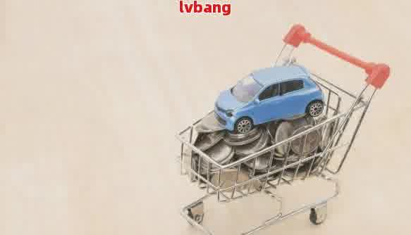有車輛抵押貸款(抵押貸款車輛有什么影響)？ (http://www.771378.com/) 知識問答 第1張