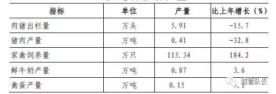 上海私家車抵押(上海抵押車私人抵押)？ (http://www.771378.com/) 知識問答 第2張