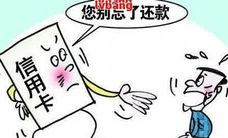 車抵押貸款平臺有(有哪些抵押車貸公司正規(guī)的)？ (http://www.771378.com/) 知識問答 第5張