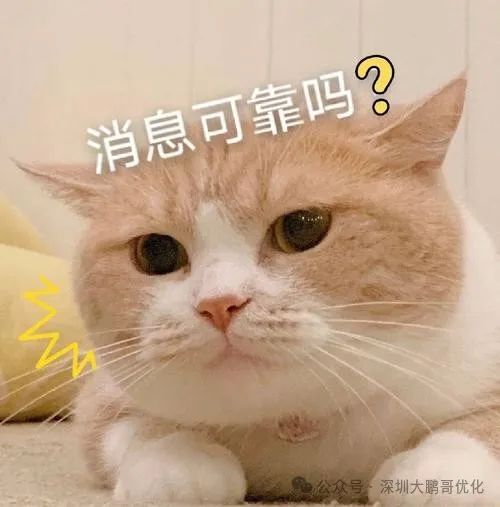 車輛抵押貸款必須要綠本嗎(抵押車子綠本也要看征信嗎)？ (http://www.771378.com/) 知識問答 第2張