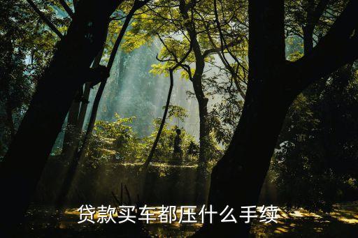 按揭需要抵押機動車登記證嗎(按揭車要抵押登記證書)？ (http://www.771378.com/) 知識問答 第3張