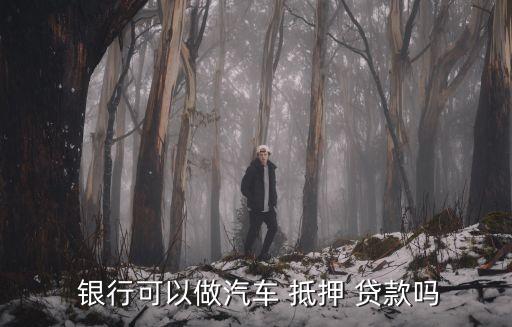車抵押貸額度(抵押車貸款金額)？ (http://www.771378.com/) 知識問答 第3張