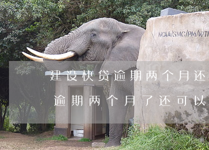 汽車抵押快貸(抵押車貸款有什么坑)？ (http://www.771378.com/) 知識問答 第1張