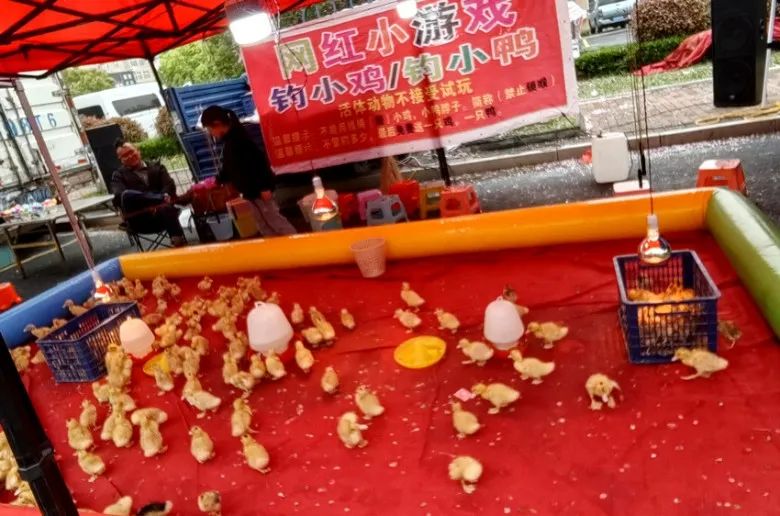 常州車(chē)輛抵押貸款(常州抵押貸款車(chē)輛怎么過(guò)戶(hù))？ (http://www.771378.com/) 知識(shí)問(wèn)答 第11張