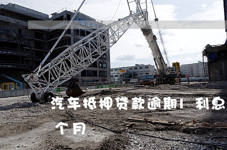 車抵押貸款的利息(抵押車子貸款利息)？ (http://www.771378.com/) 知識問答 第2張