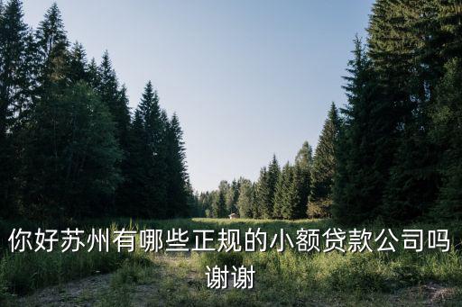 蘇州無抵押信用貸款(蘇州正規貸款企業)？ (http://www.771378.com/) 知識問答 第1張
