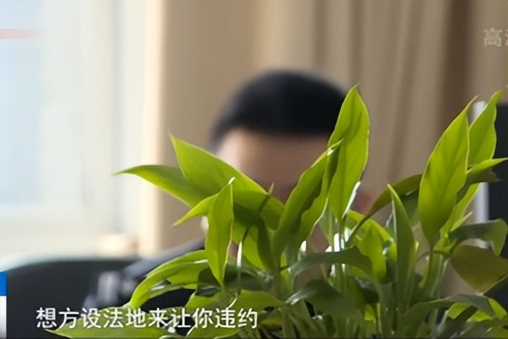附近車輛抵押貸款(內(nèi)江市汽車服務(wù)公司騙局)？ (http://www.771378.com/) 知識問答 第1張