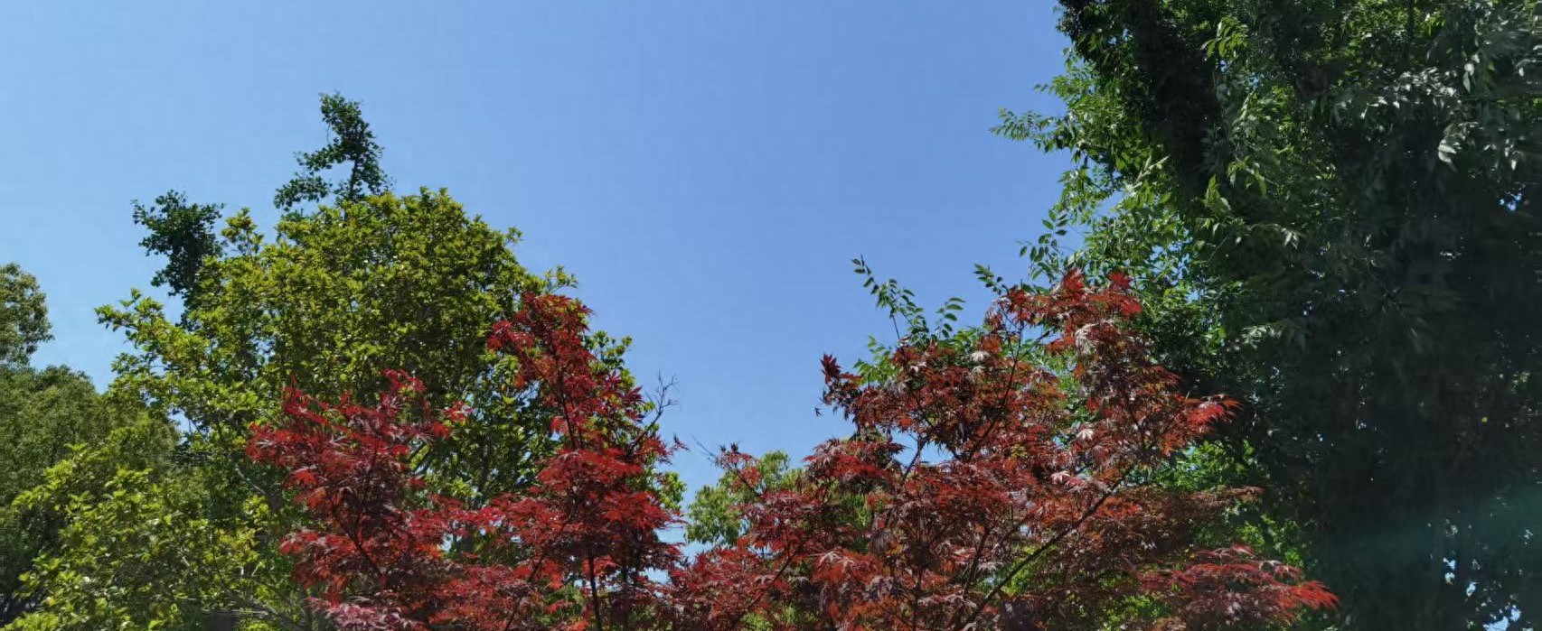 上海房產抵押(婚前婚后房產分割)？ (http://www.771378.com/) 知識問答 第1張