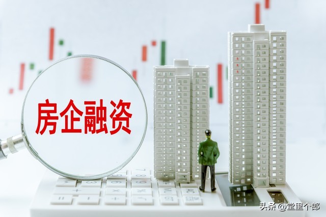 20萬車抵押貸款能貸多少(房貸額度影響因素分析)？ (http://www.771378.com/) 知識問答 第3張
