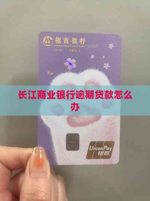 車輛 抵押貸款咨詢(逾期貸款處理方法)？ (http://www.771378.com/) 知識(shí)問(wèn)答 第2張